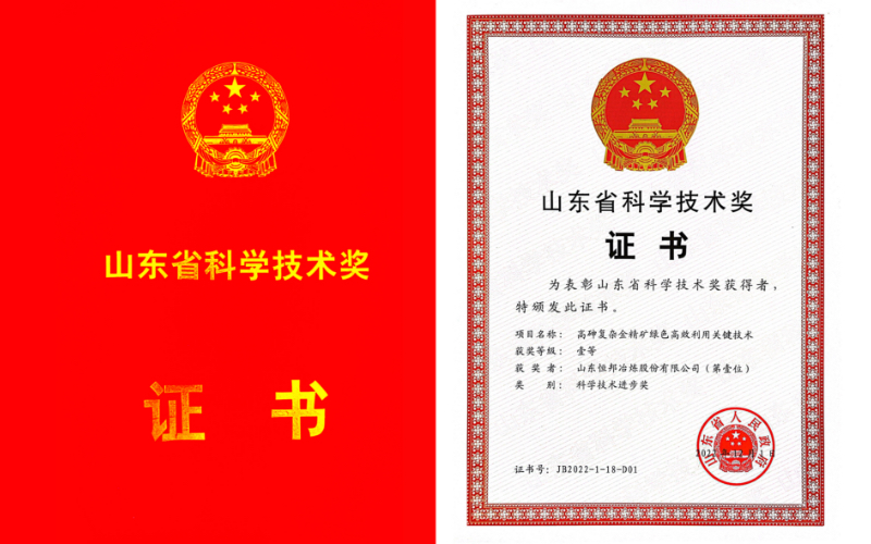 山東省科學技術(shù)獎一等獎